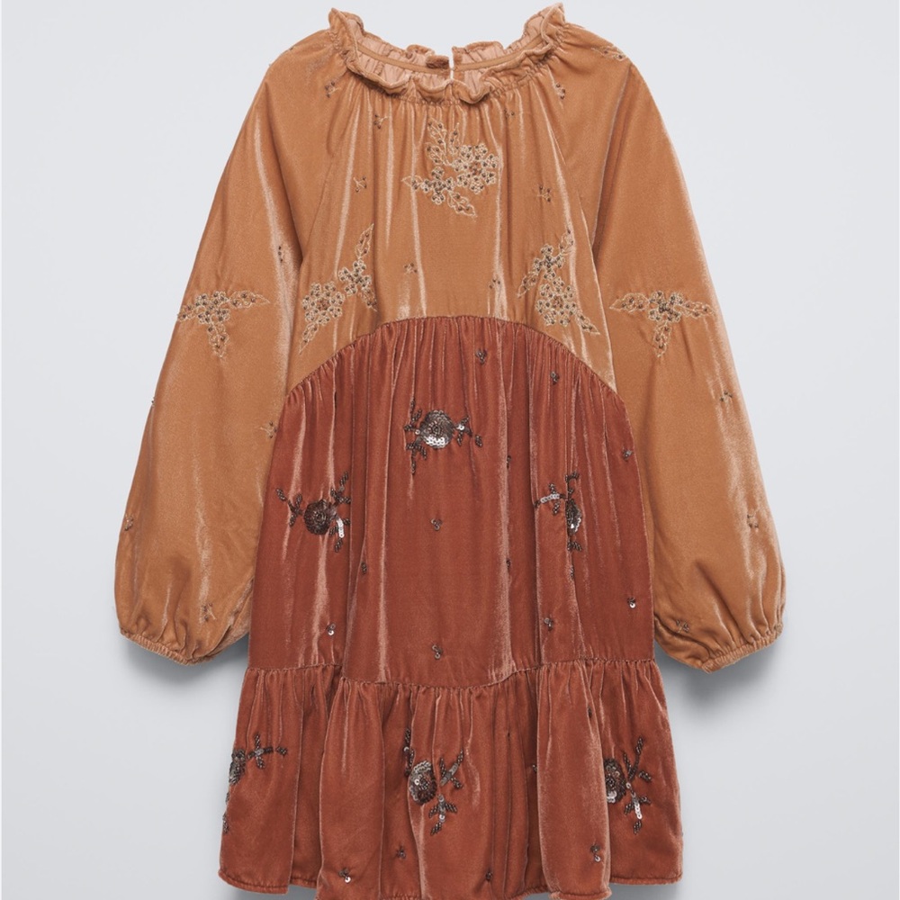 Zara Kids Copper Velvet Embroidered Dress